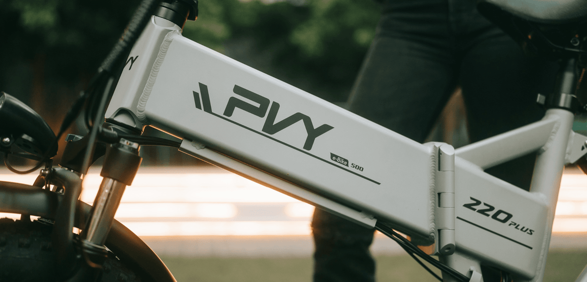 The Best Ebike For Your Lifestyle - PVY E-BIKE
