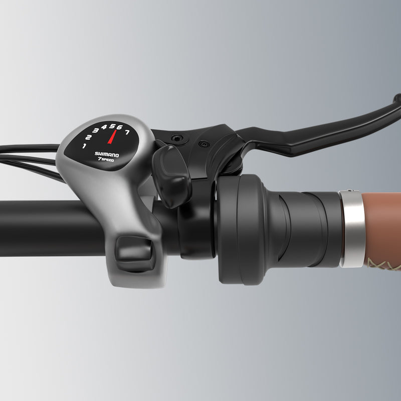 Trasmissione Shimano a 7 velocità